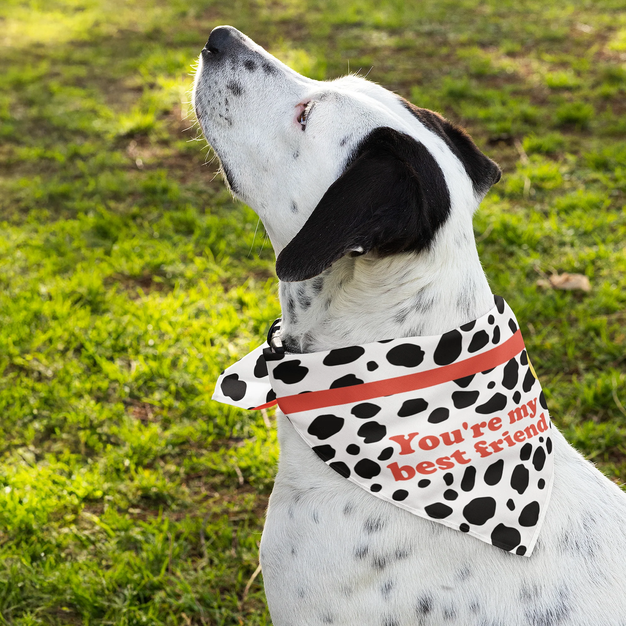 Ox Best Friend Bandana - Image 3